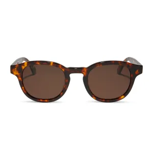 ARLO XL - RICH TORTOISE   BROWN   POLARIZED SUNGLASSES